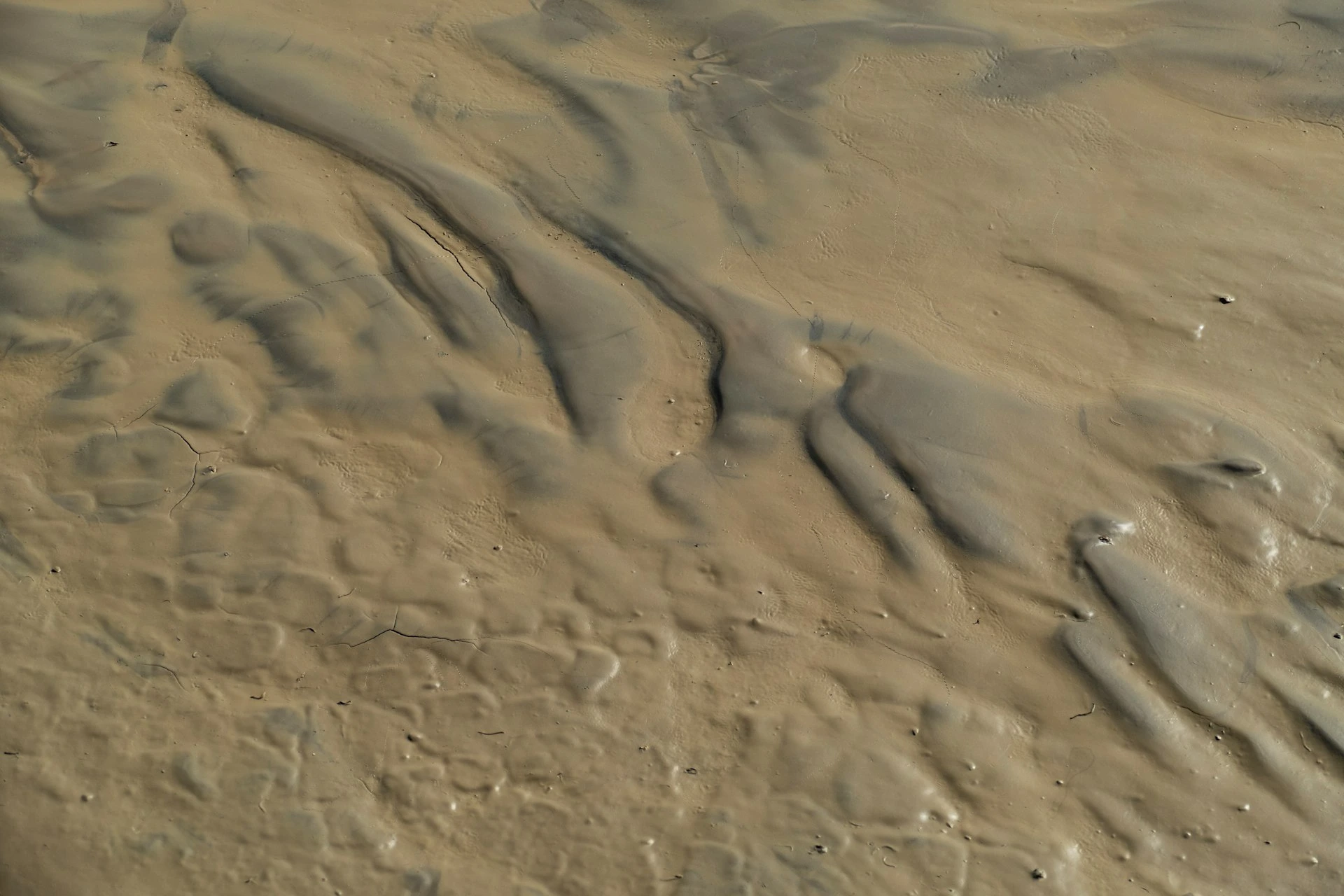 an aerial view of a sandy beach and ocean