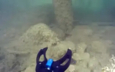 pince rov