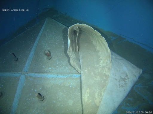 bache sprinkler desordre