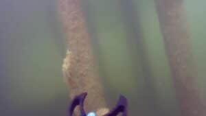 Inspection sous-marin de piliers de pontons au lac privée en Haute-Savoie